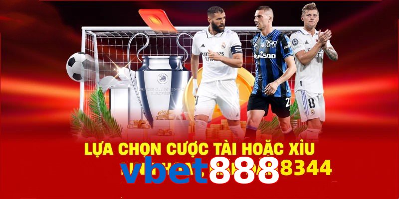 Danh mục đa dạng, đoán chuẩn là nhận tiền