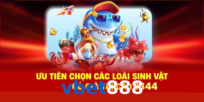 Xem Tướng Gà Chọi - Bí Quyết Chọn Chiến Kê Bất Bại 