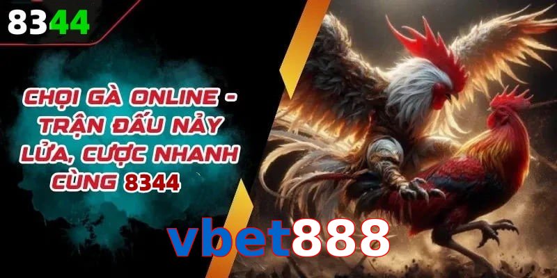 Đá gà vbet888 có rất nhiều ưu điểm vượt trội so với sân chơi khác