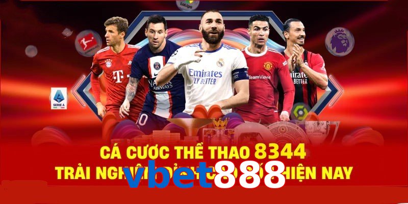 Đá Gà Philippines – Tinh Hoa Truyền Thống Và Thể Thao 